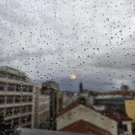 Mohho טריאסטה