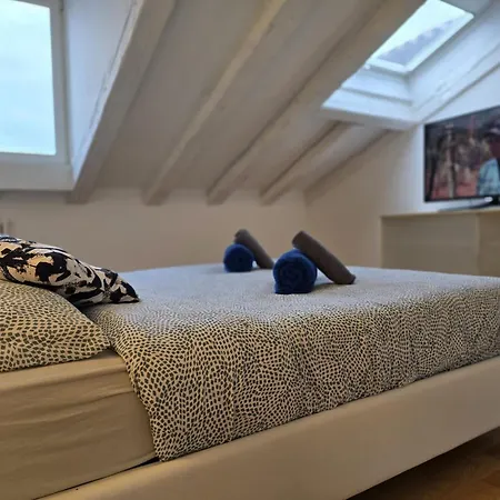 Mohho * טריאסטה